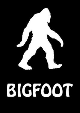 BIGFOOT (Общий, офлайн)